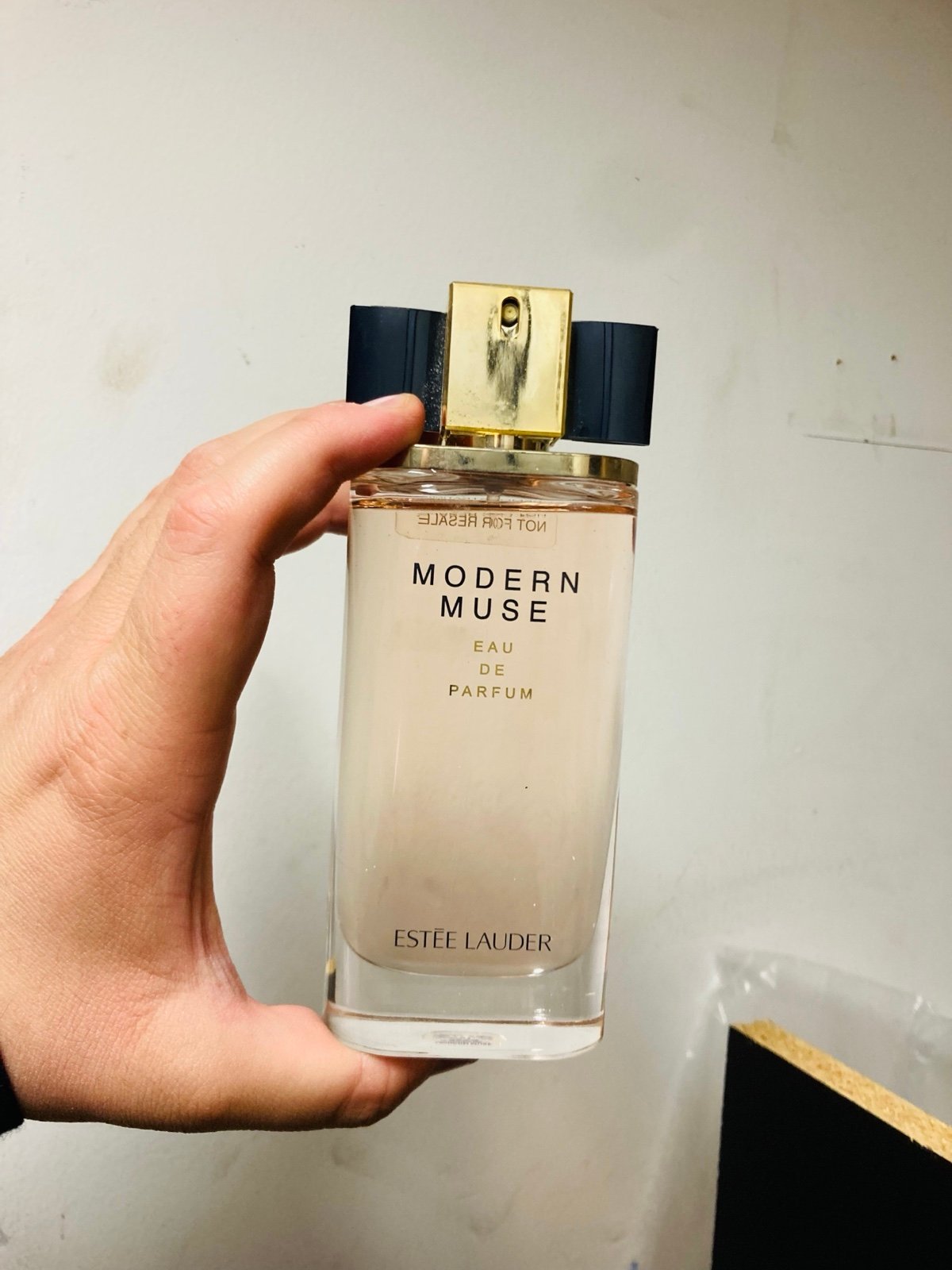 Estee Lauder Modern Muse Eau de Parfum 3.4 oz 100ml Rare Perfume New AUTHENTIC