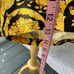 Versace Barocco Swim Trunks