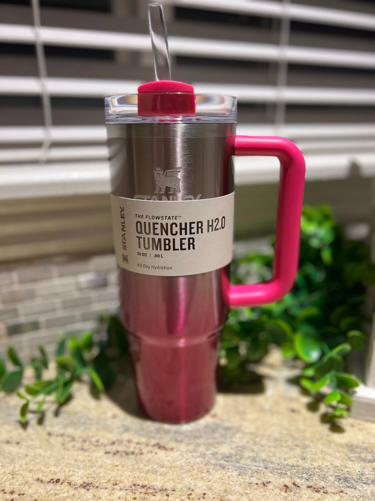 Stanley Camilia Gradient 30oz