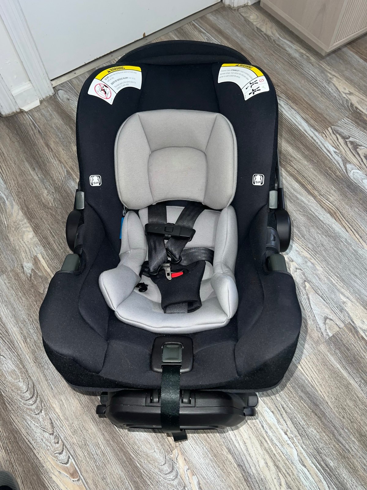 Car seat pipa RX