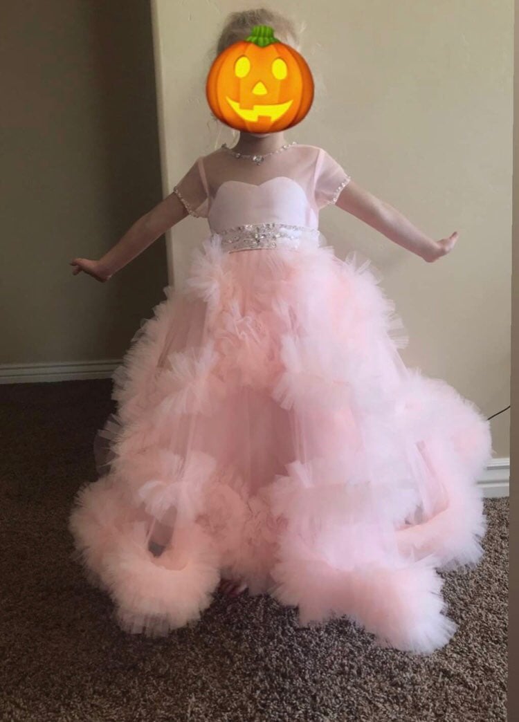 Princess Dress/Halloween Costume
