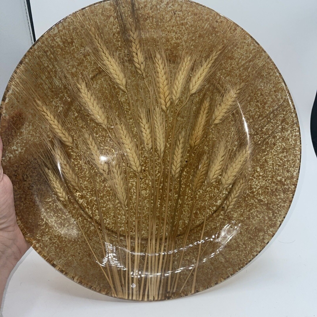 Riccardo Marzi Platter Resin/lucite Italy Large Wheat Dish Bowl Serving 14” HTF