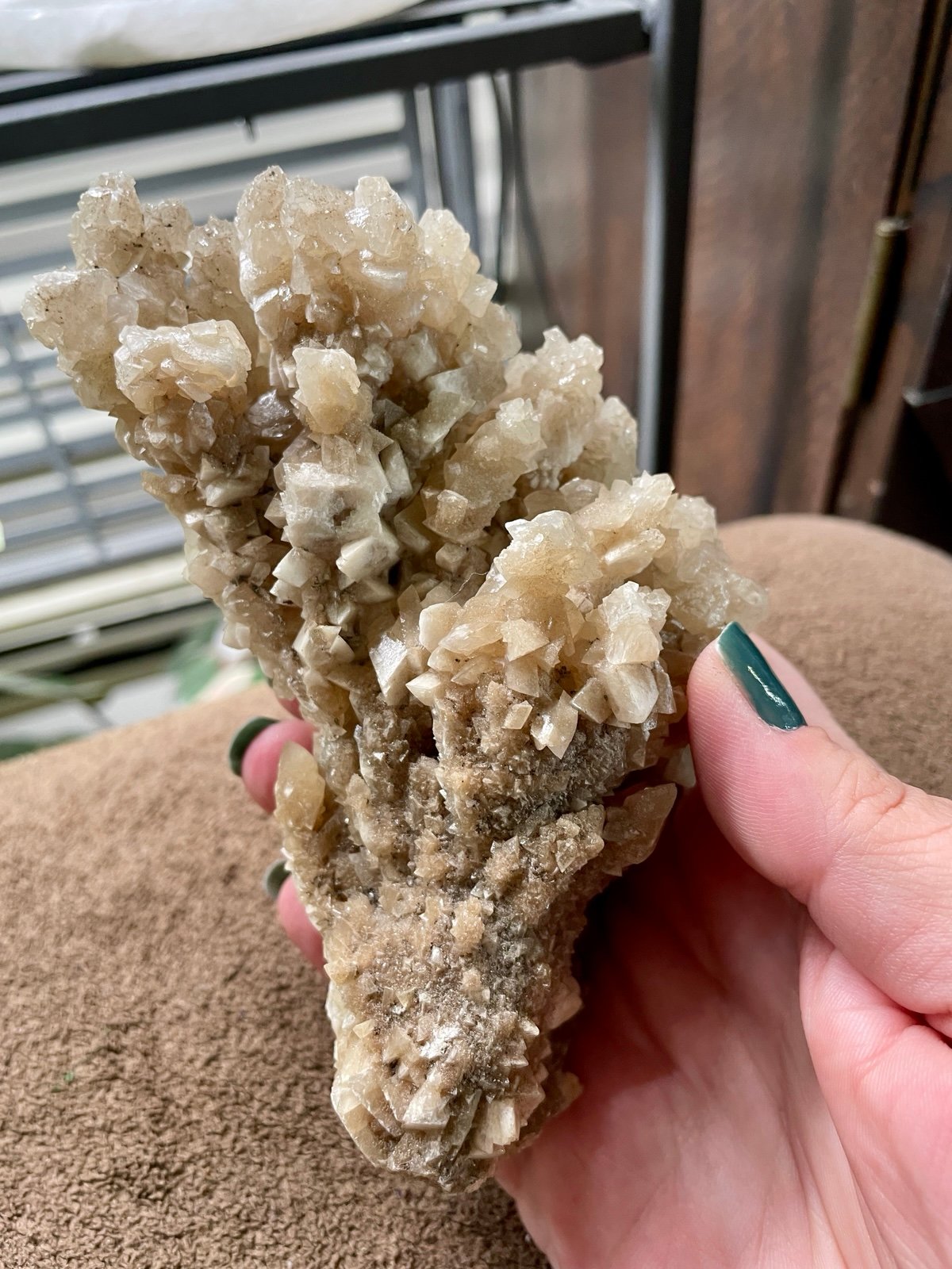 Natural white skeletal Calcite Cluster Gem Rough Crystal Mineral Specimen