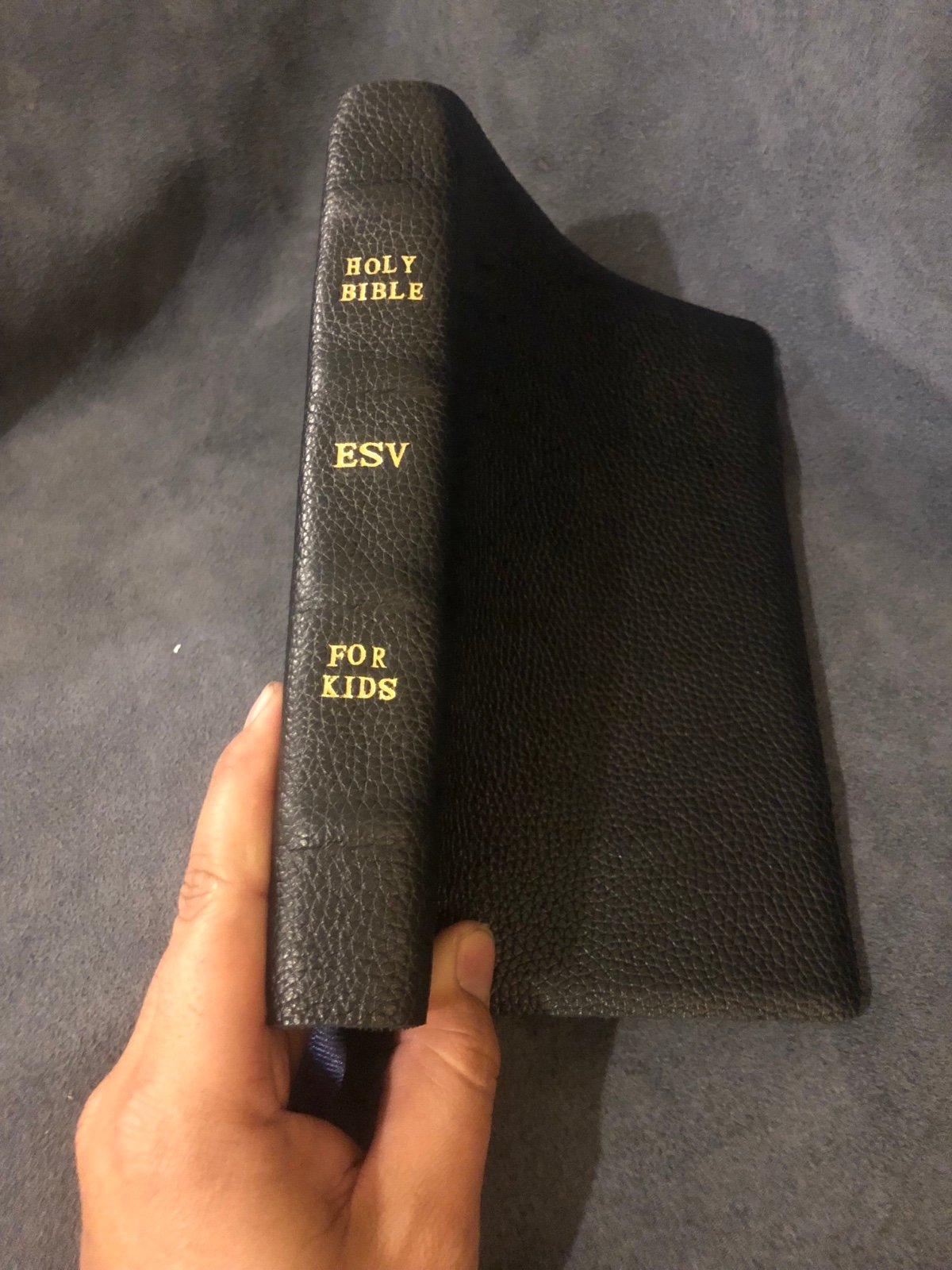 Esv Bible for kids