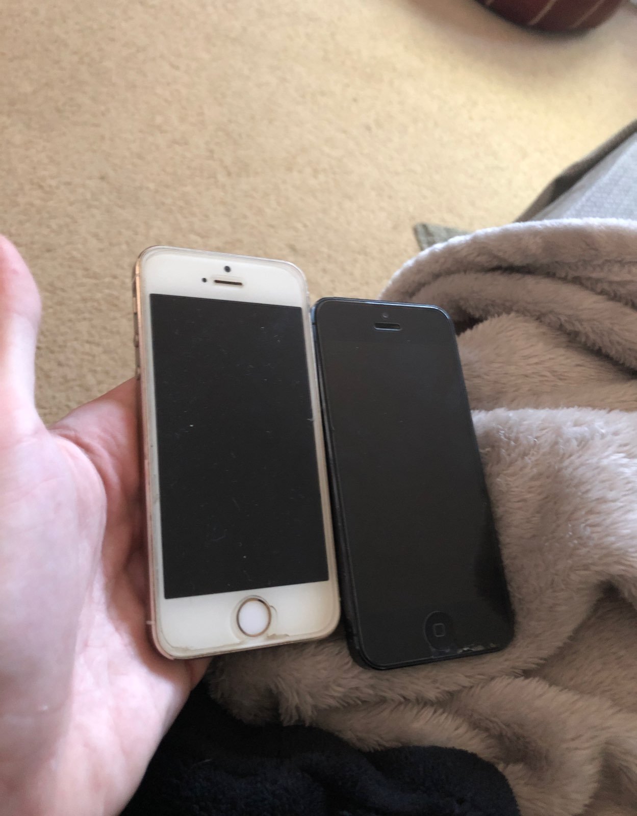 iPhone 5 and 5s