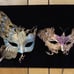 4 MASQUERADE MASKS 'LIGHTED' WALL DECOR