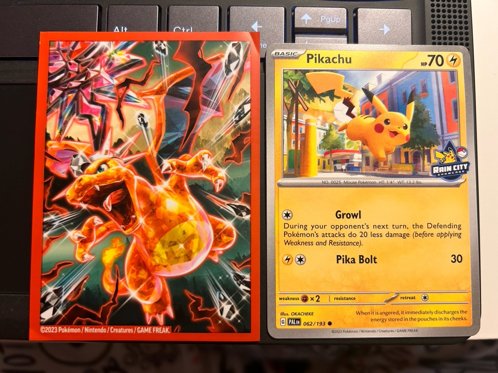 EXCLUSIVE 2024 Pokémon Pikachu Rain City Showcase Card Promo