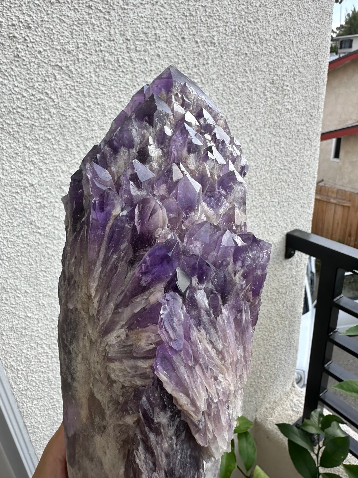 Giant Elestial Amethyst Multiple Points Bahia Sceptor Specimen