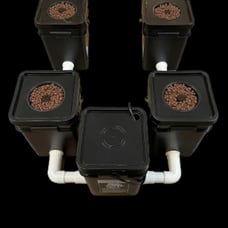 4-Plant 20-Gallon RDWC Hydroponic System 4-Gallon Reservoirs w/ 1 bulkheads/Pvc