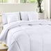 Autumn And Winter Thickened Warm comfortable Down Comforter King Size-q911
