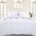 Autumn And Winter Thickened Warm comfortable Down Comforter King Size-q911