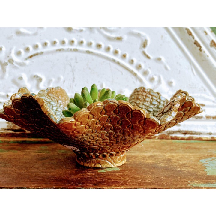 Susan M. Sutherland Barnes Pottery Bowl