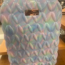 Juicy Couture carryon luggage