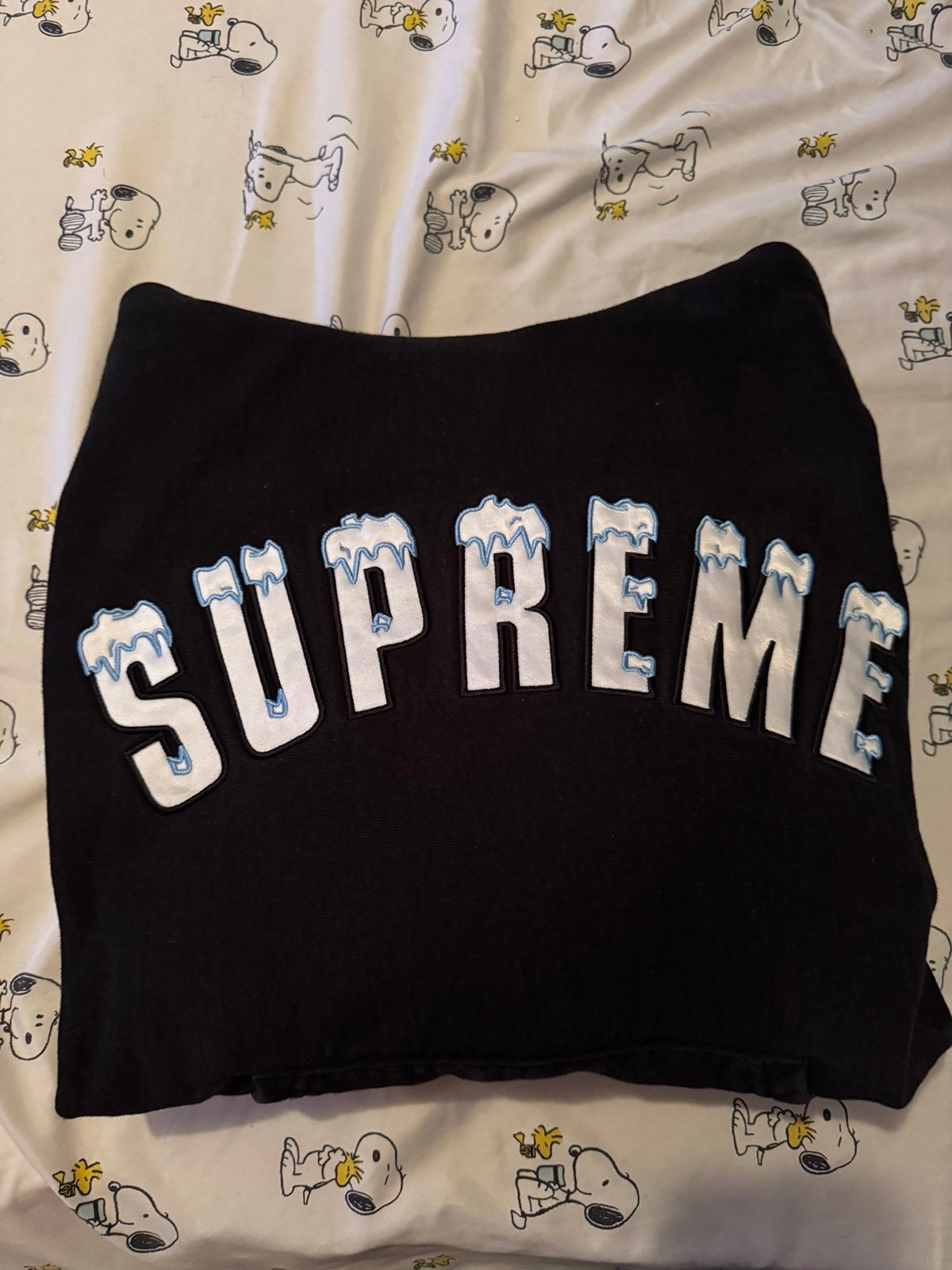 Supreme icy arc hoodie