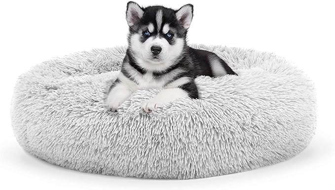 Cat Bed/Small Dog Beds for Small Dogs