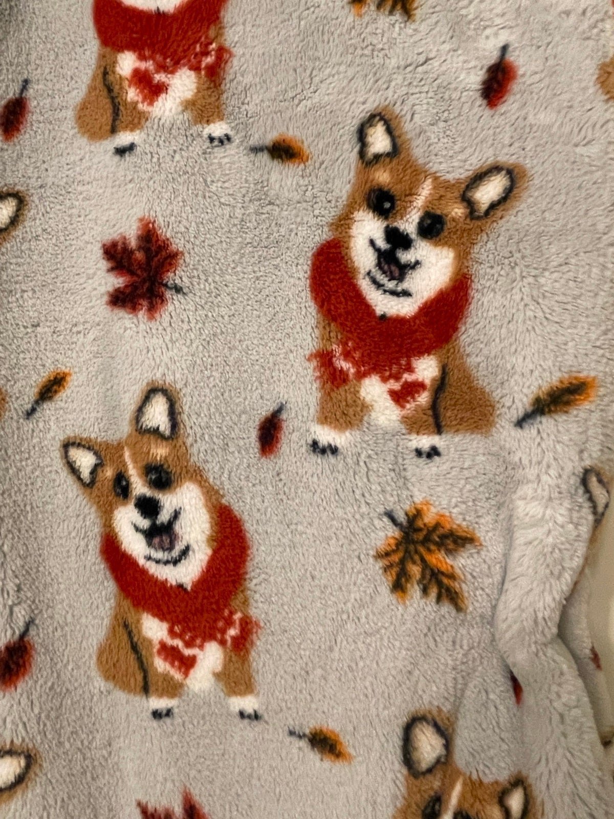 Cozy Fall Corgi Blanket - Oversized NWT