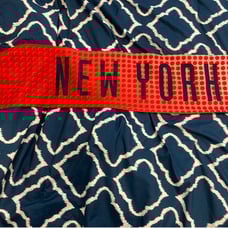 Autographed NY Red Bulls Scarf
