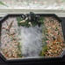 Handmade xl jewelry tray