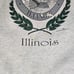 Vintage 90s Monmouth Illinois Sweatshirt Crewneck Gray XL USA Paint Marks