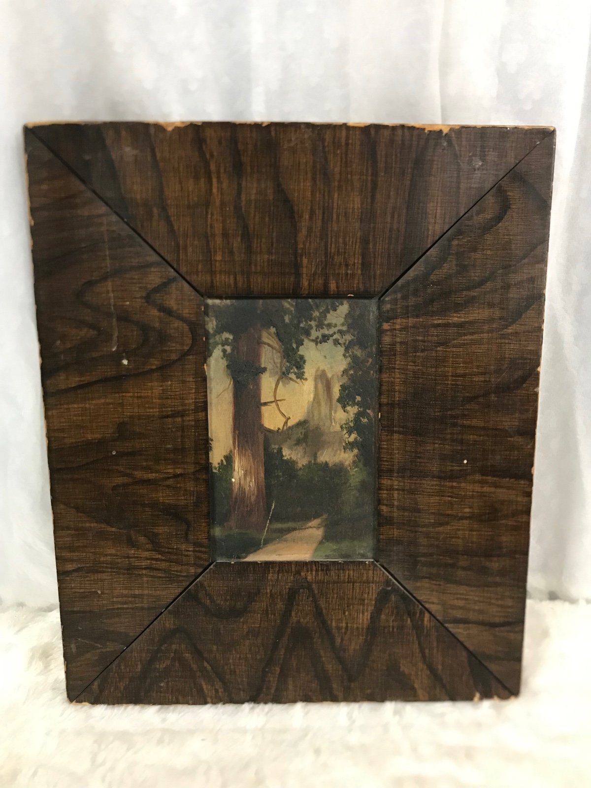 Antique 1800’s Tiger Oak Frame With Original Oil Painting