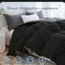 L LOVSOUL Fluffy Reversible Duvet Insert,Ultra Soft Brushed Microfiber Cover