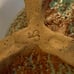 ELEPHANT POTTERY TEAPOT HANDMADE SIGNED ON BOTTOM