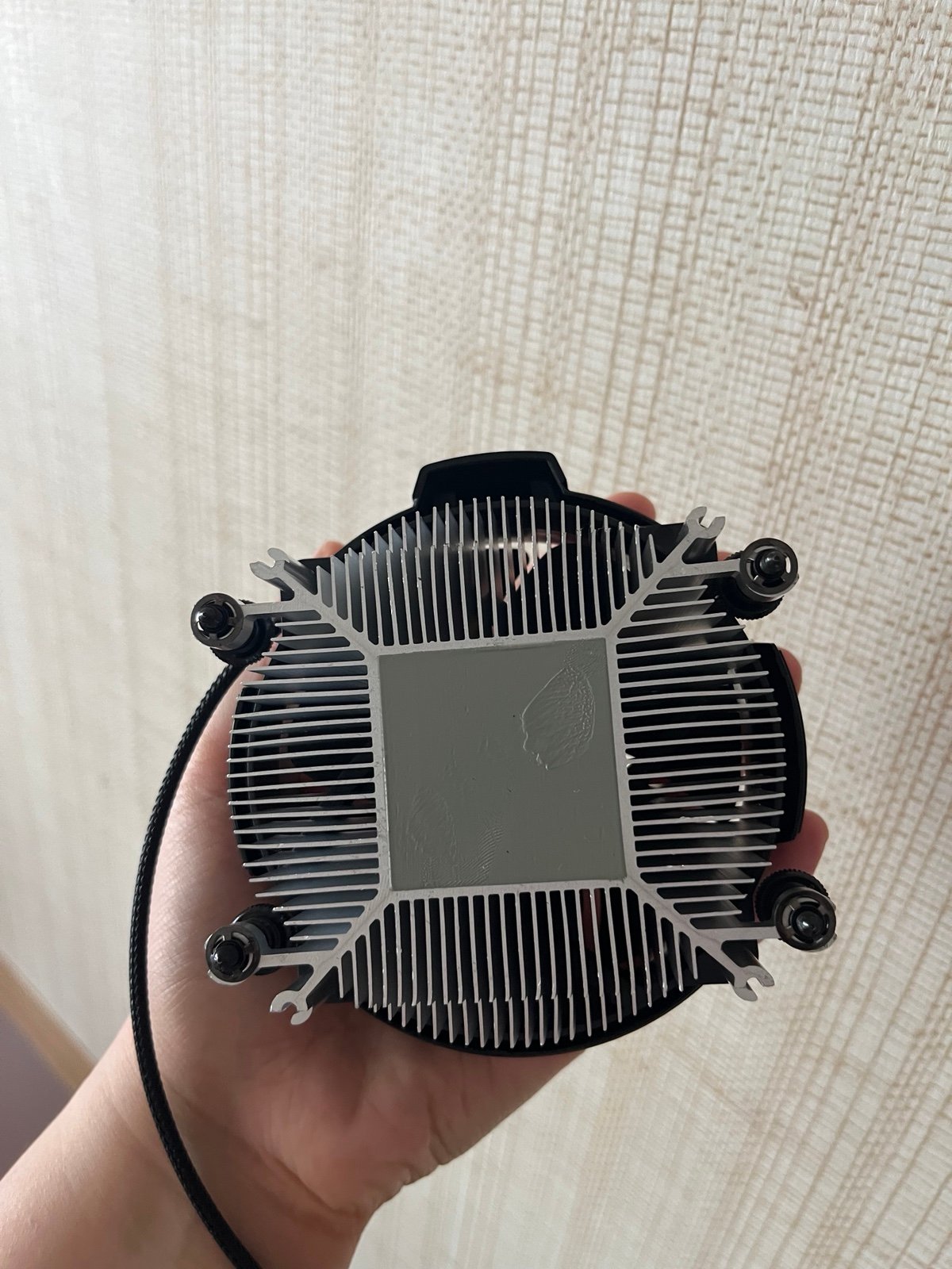 AMD Ryzen 5 3600