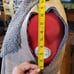 dylan Sherpa Vest