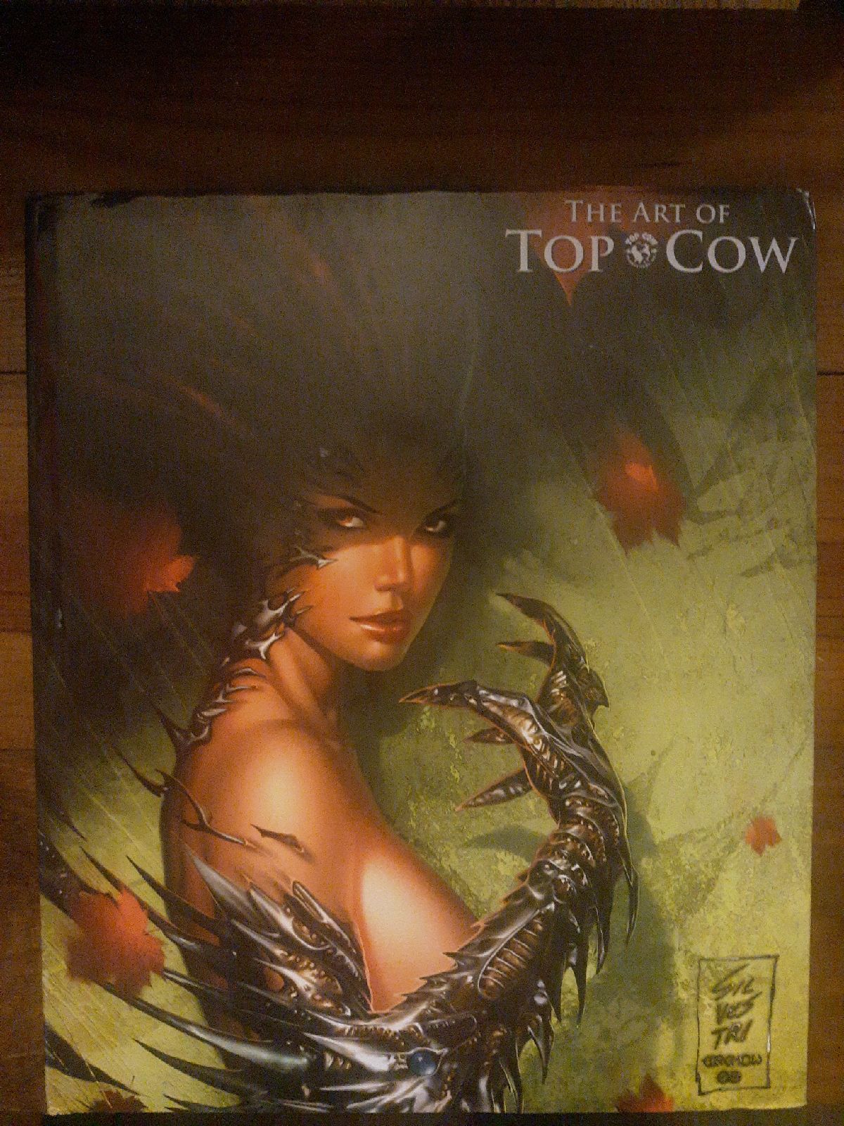 The Art of Top Cow