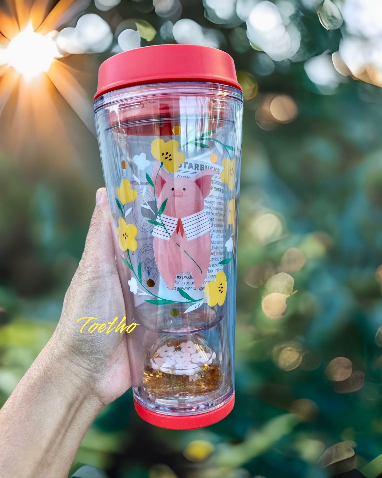 Starbucks 2019 Pig Water Globe 12oz Tumbler