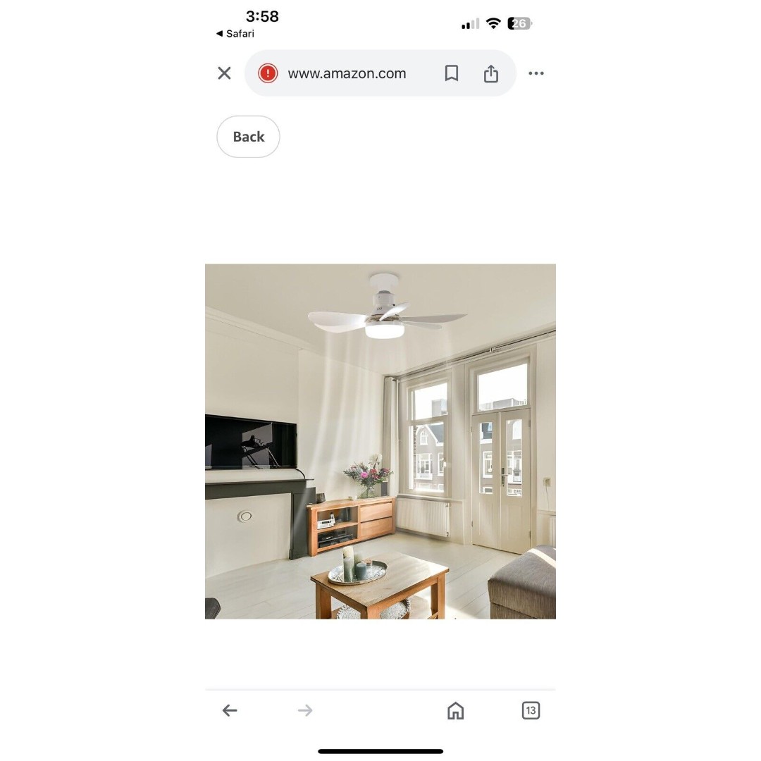 Flower Fan Light ( Ceiling Fan With Light)