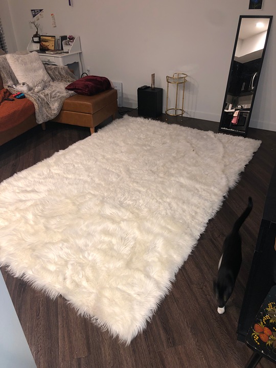 White Fuzzy Rug Machine Washable Shag Rug
