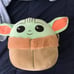 The child squishmallow