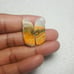 BumbleBee Jasper Natural Gemstone Cab