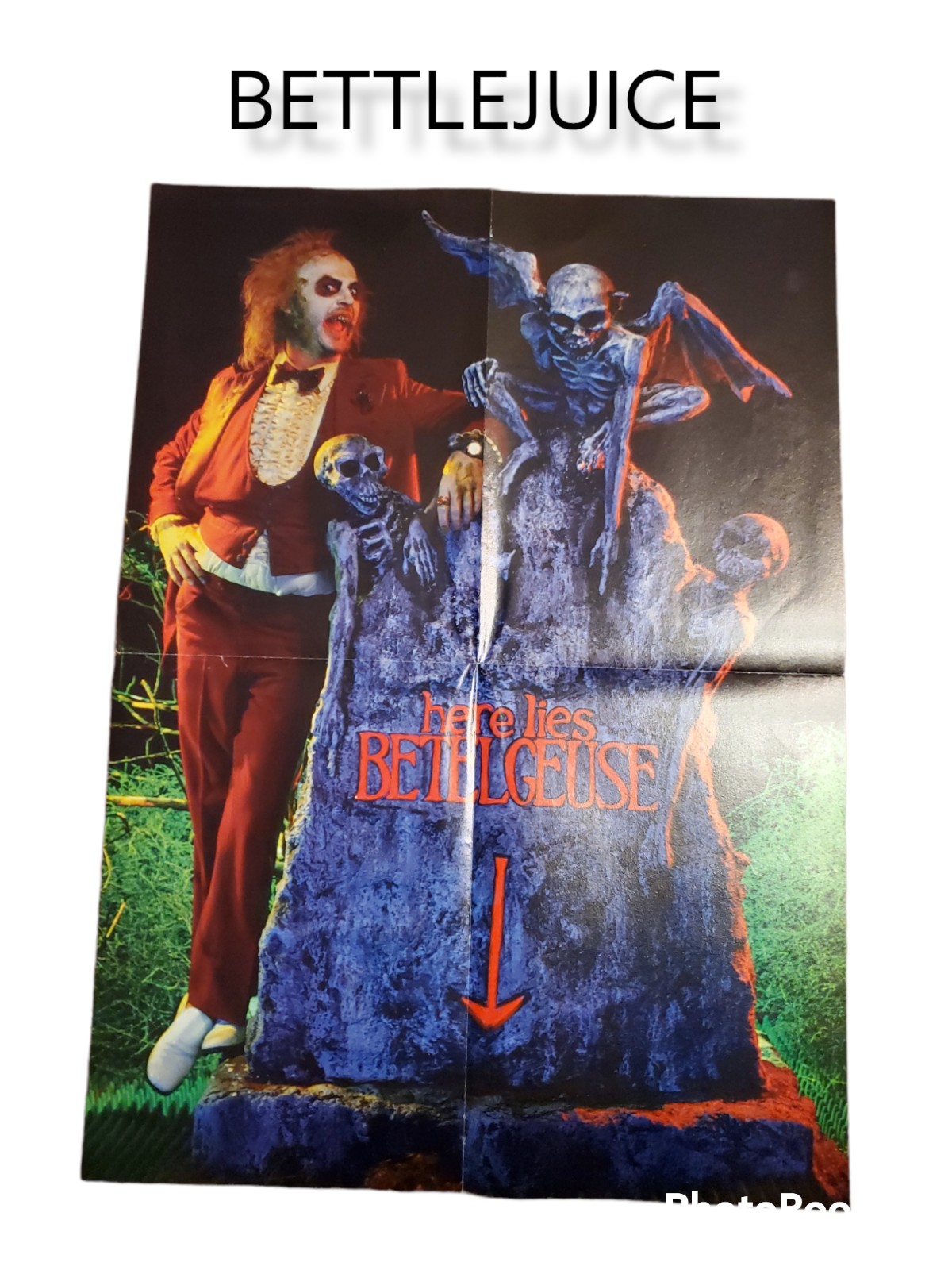 Beetlejuice and Star Trek Movie Dual Sided poster 16x22