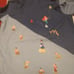 New Without Tag, Disney Character hoodie,blue girls rain coat, size large,