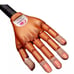 Essential Nails Nail Trainer Practice Hand INCLUDES 6 Hour On-Line Competition