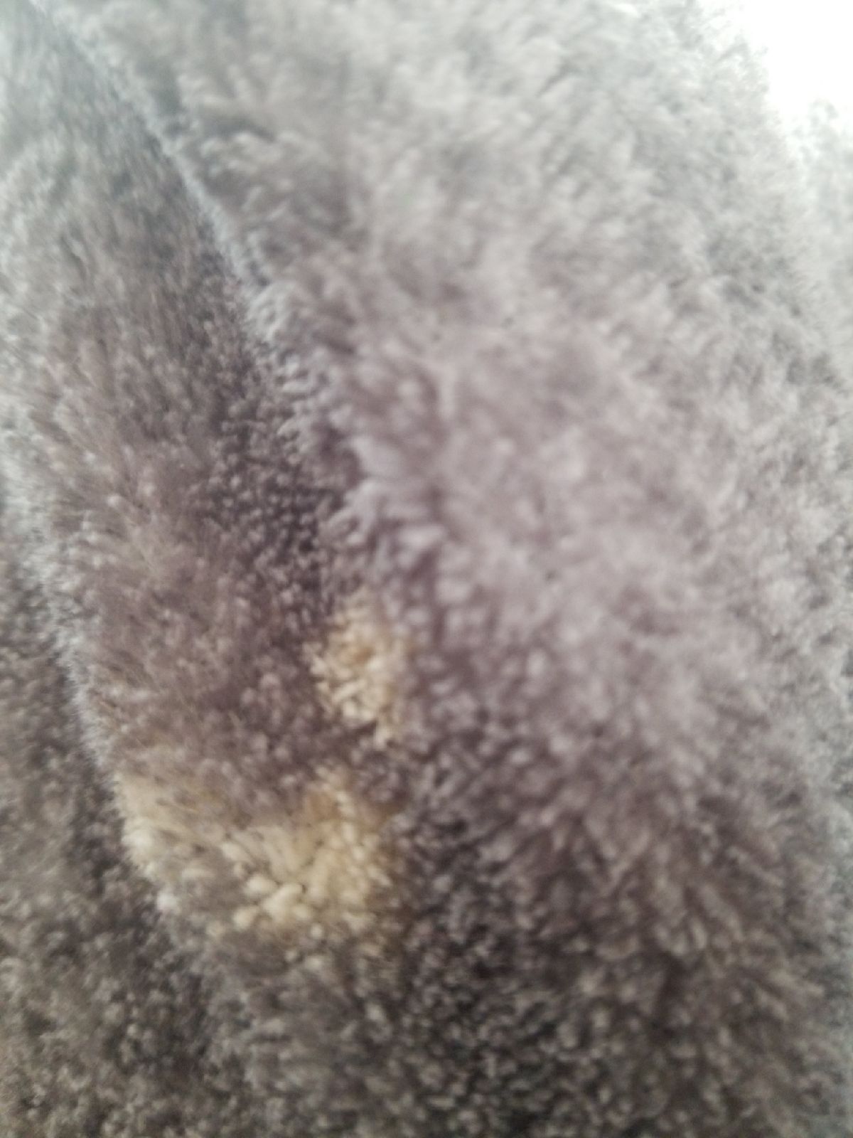 Blanket