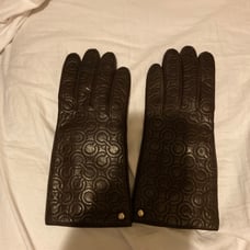 Gloves