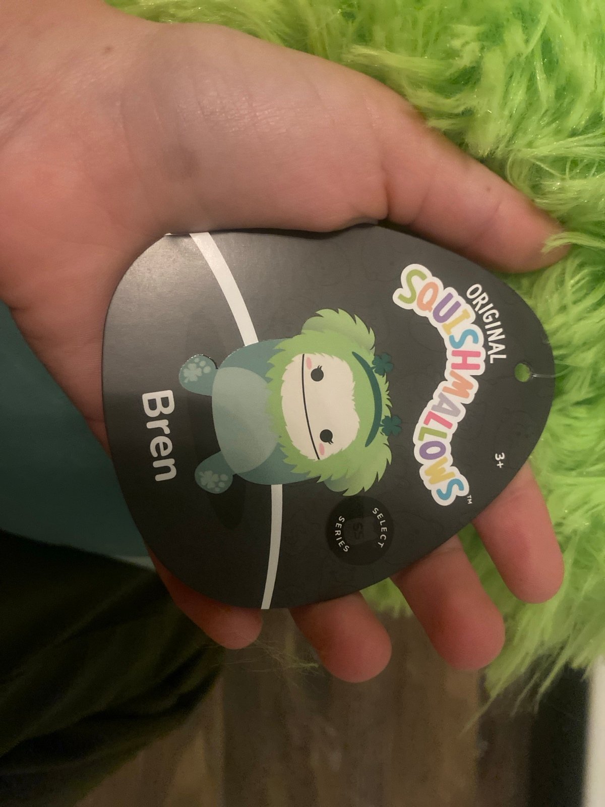 clover bren squishmallow