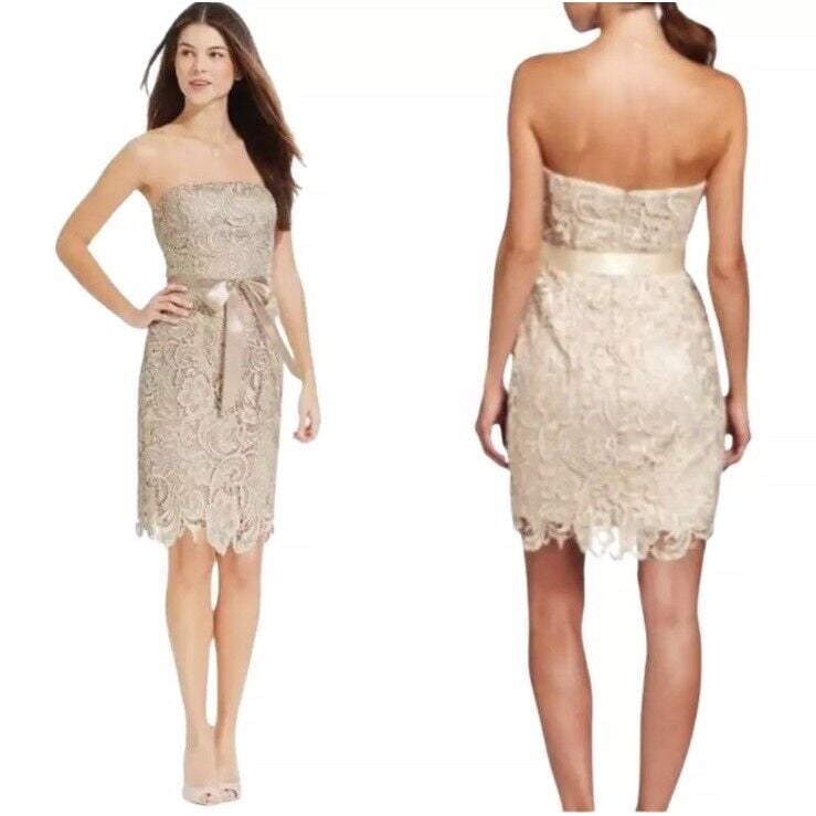 Adrianna Papell Evening Strapless Lace Belted Cocktail Dress Size 4 Ivory Chic
