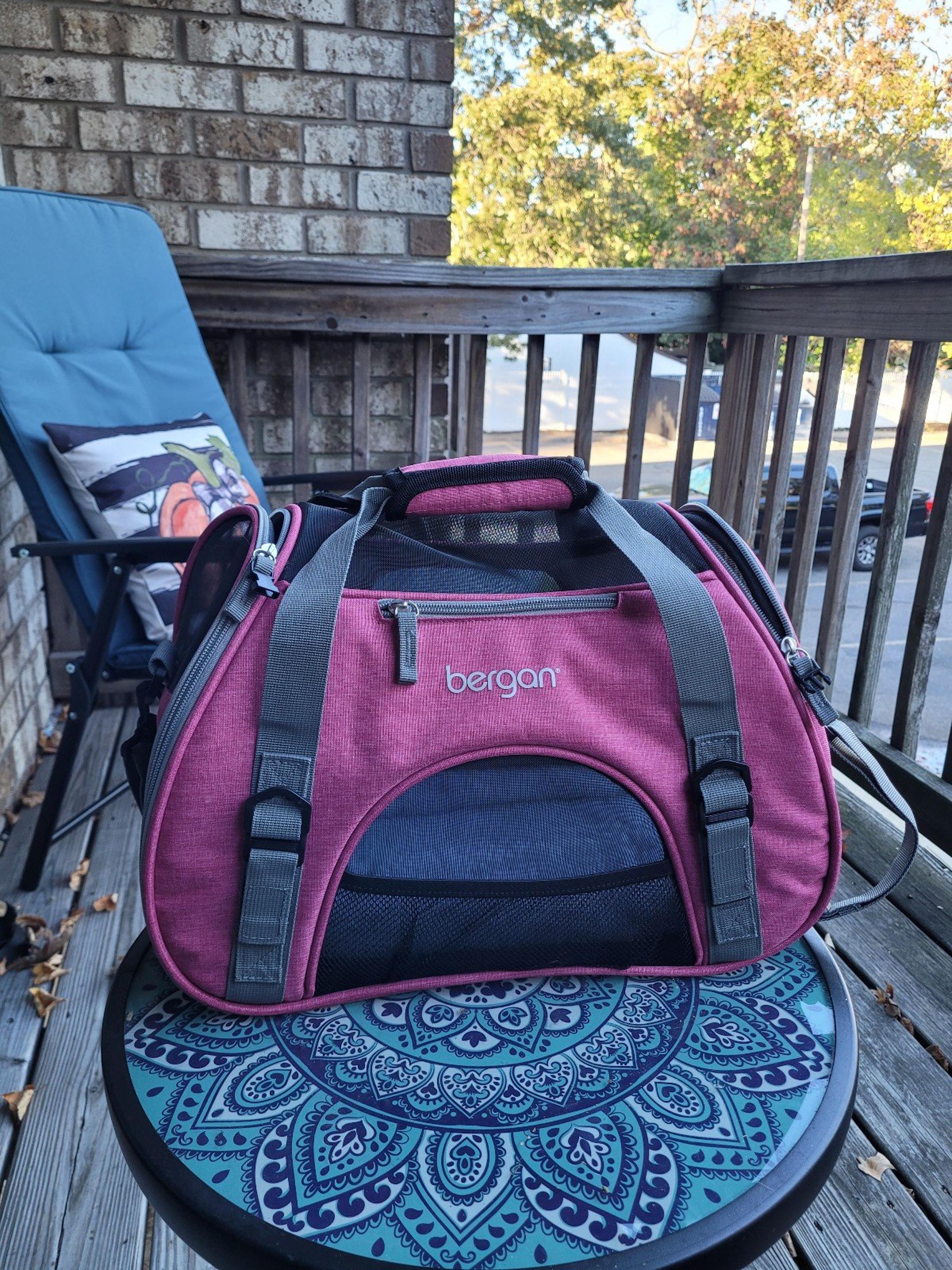Pink Cat Dog Carrier