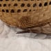 Antique Men's Italian Yeddo Straw Hat