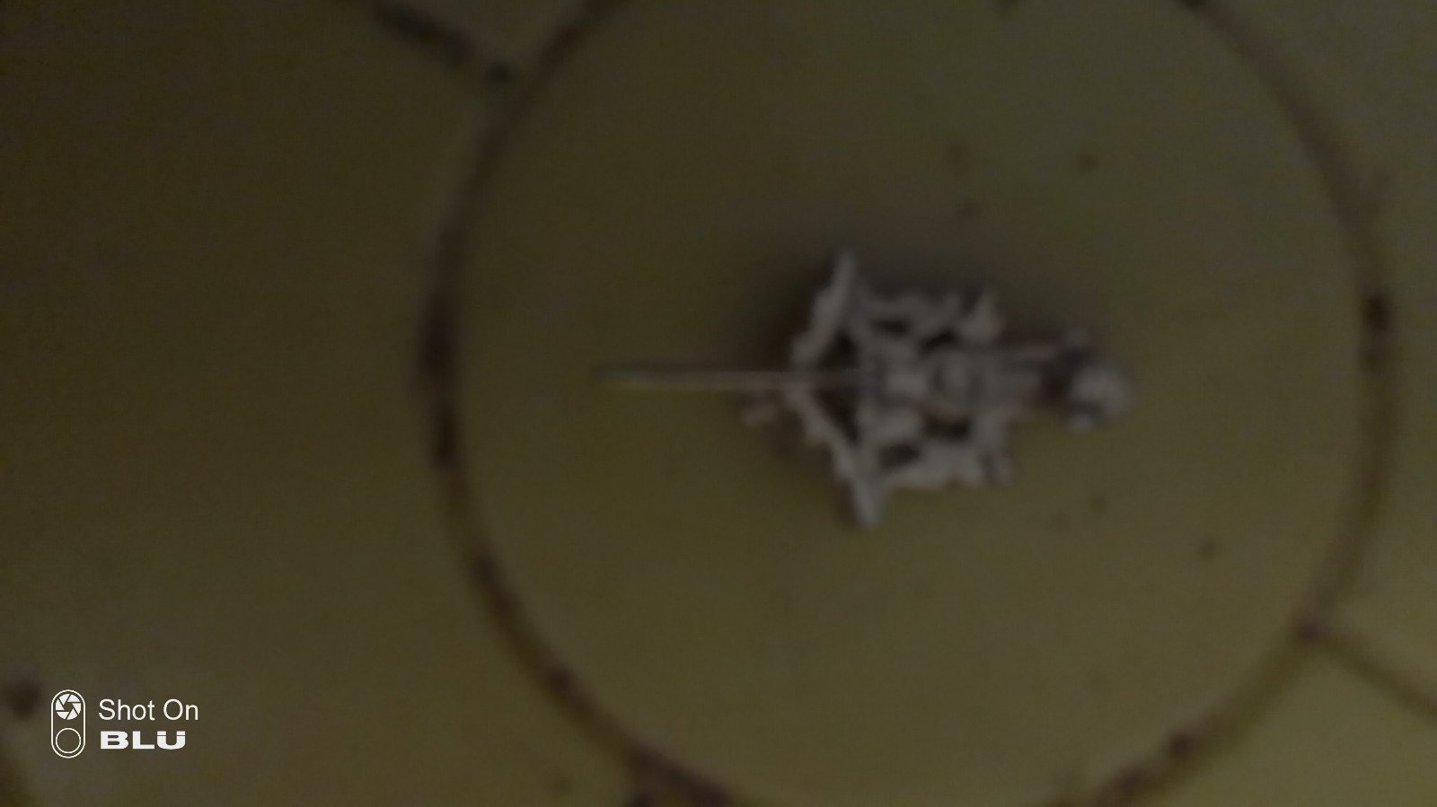 Coocoo clock pin.goldtone