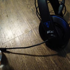 Pc4 turtle beaches