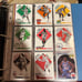 Binder lot of cards there is over 400 cards 1889-1990