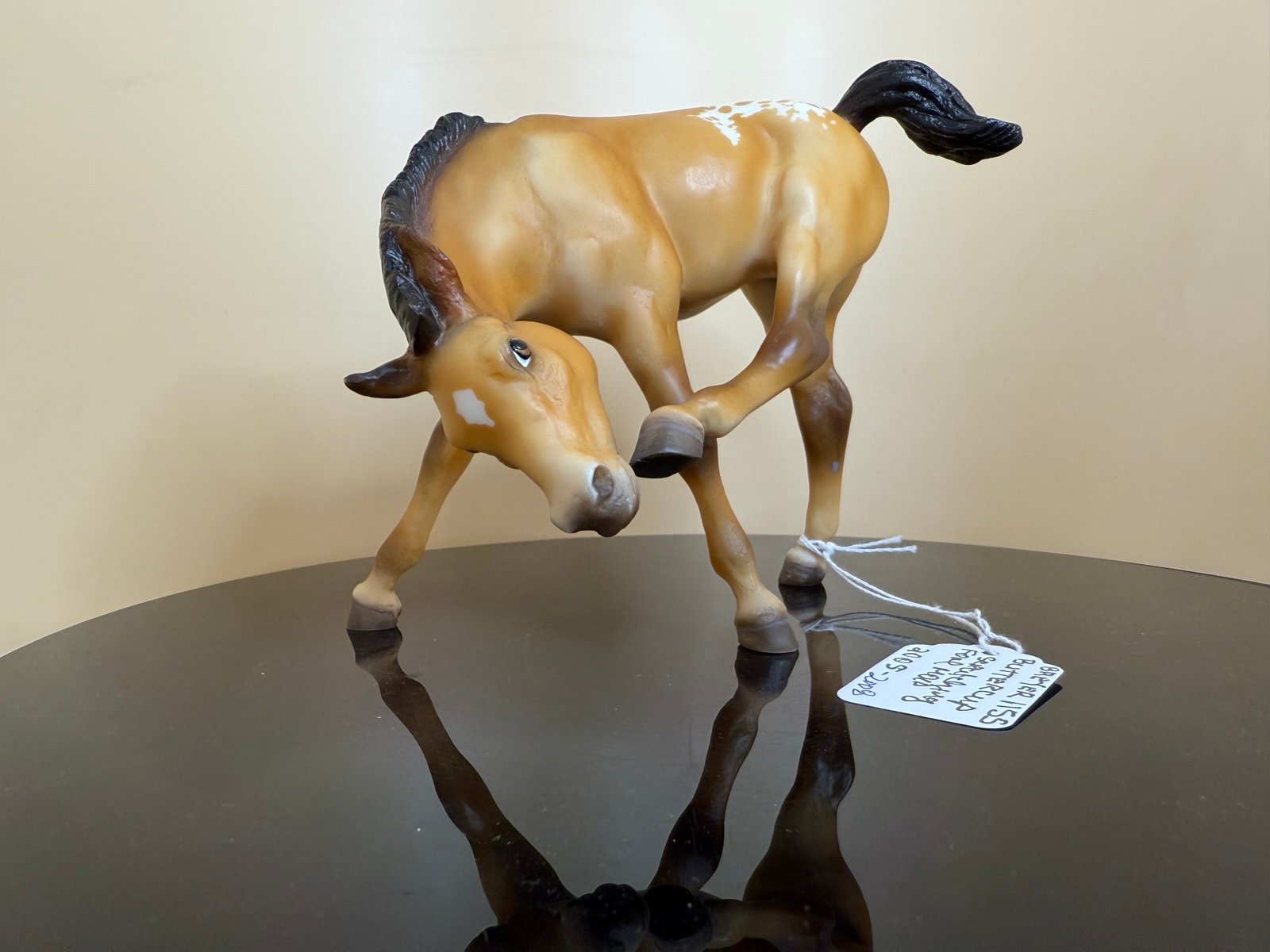 Breyer Scratching Appaloosa foal Buttercup