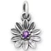 James Avery Sterling Sliver Floral Gemstone Charm, Color: Amethyst