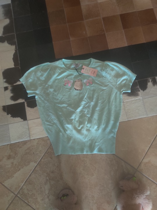 Unique Vintage Pusheen collection sweater size 2x (18) New