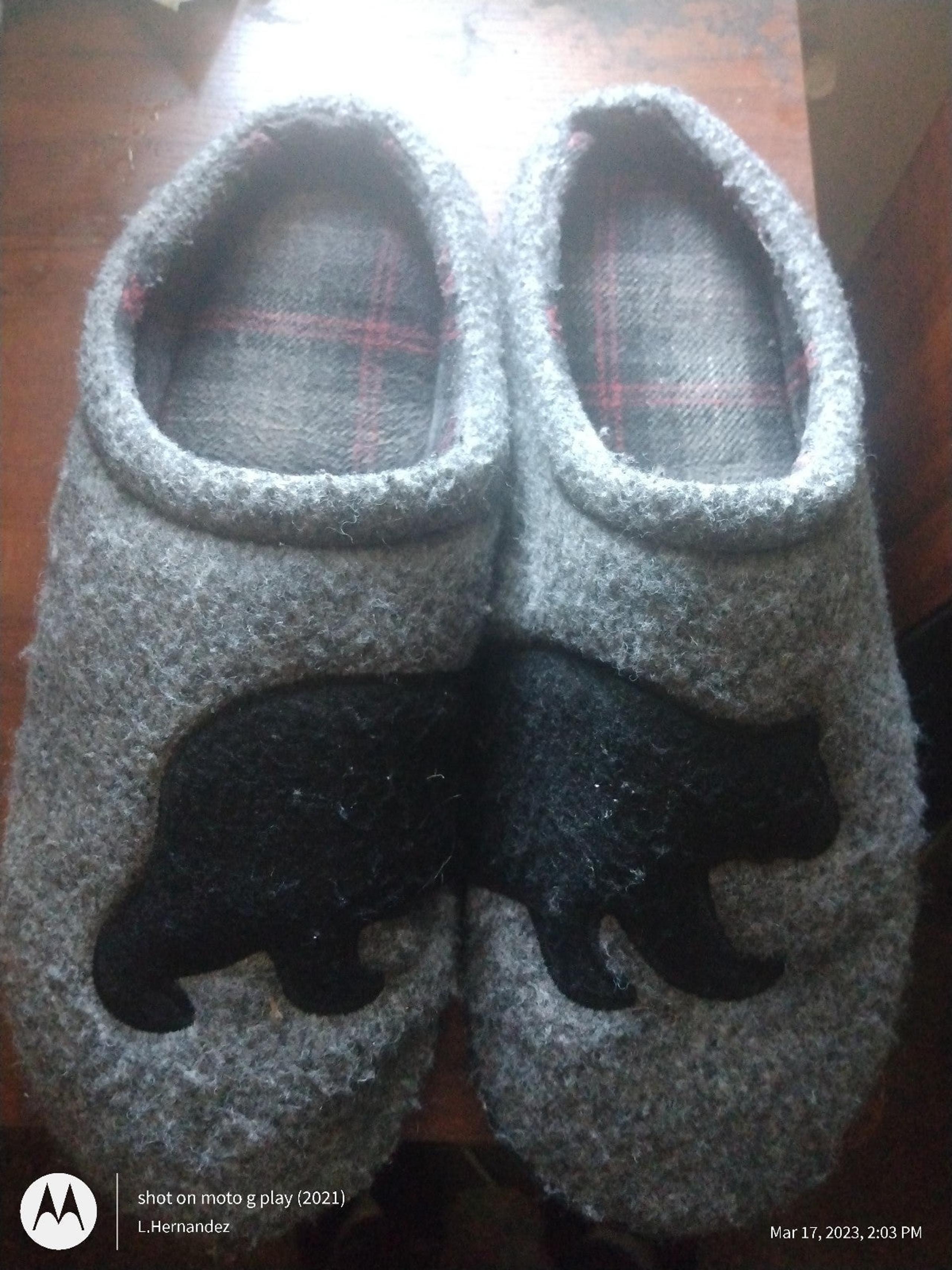 Men's California bear slippers